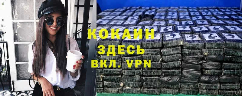 купить наркотик  darknet формула  kraken сайт  COCAIN Fish Scale  Рыльск 