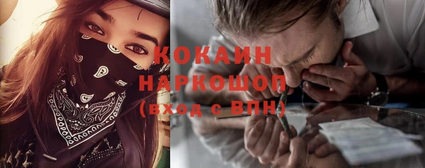 гашик Ветлуга