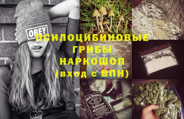 молекула духа Осинники