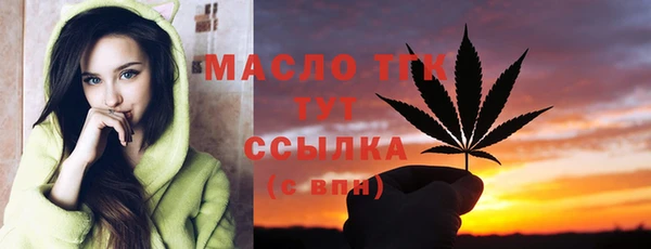 молекула духа Осинники