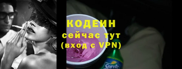 гашик Ветлуга