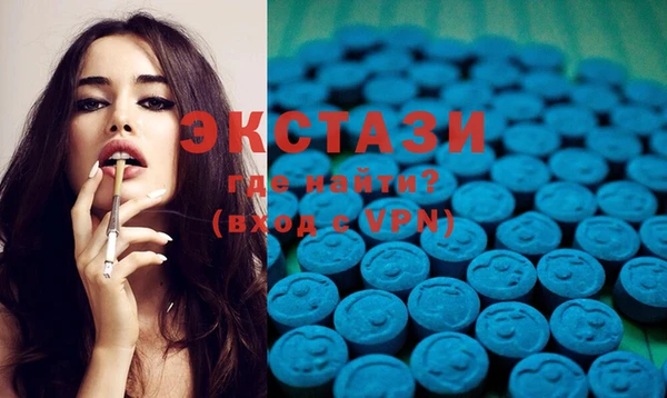 гашик Ветлуга