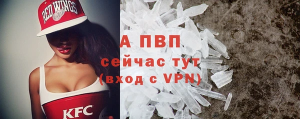 молекула духа Осинники