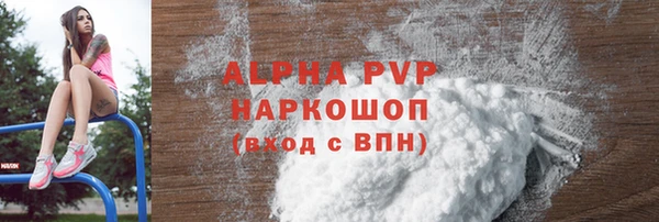 шишки Няндома